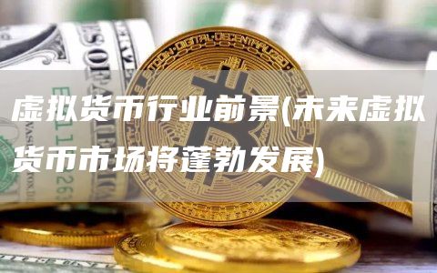 貨幣虛擬化的歷史過(guò)程_貨幣虛擬趨勢(shì)未來(lái)發(fā)展前景_虛擬貨幣的未來(lái)發(fā)展趨勢(shì)