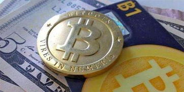 SHIB風暴再起：今日行情解析與投資者心態剖析