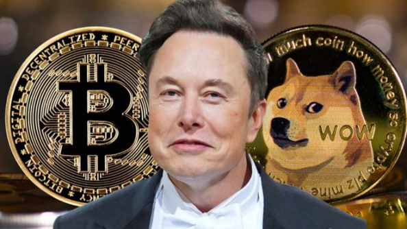 萬字全面解讀MEME賽道：如何成為金狗獵手？